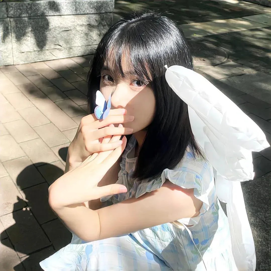 海豚伯尼2