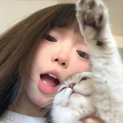 真相半白